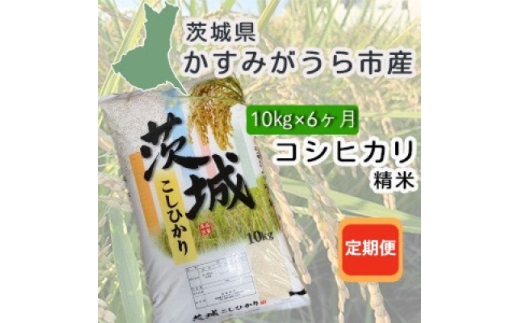 ＜毎月定期便＞茨城県かすみがうら産　精米　コシヒカリ10kg全6回【4076525】