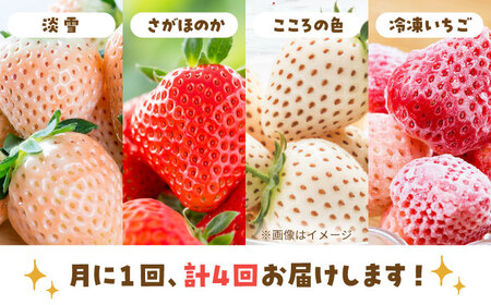 【4回定期便】岸川農園の自慢の赤白いちご（淡雪・さがほのか・こころの色・冷凍いちご） 【岸川農園】[IAP046]