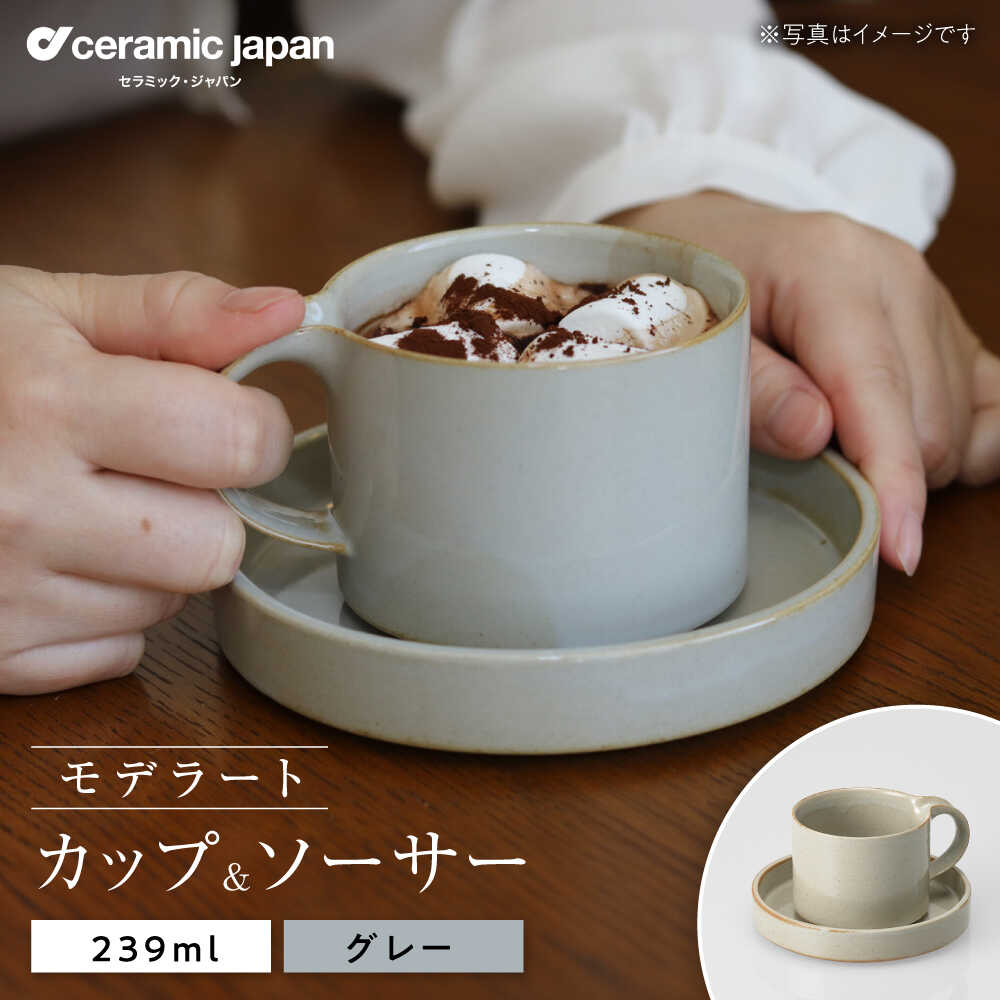 【ふるさと納税】【瀬戸焼】モデラート カップソーサー グレー 【セラミック・ジャパン】 / 食器 カップ コップ ギフト プレゼント / 瀬戸市[BBBC007]