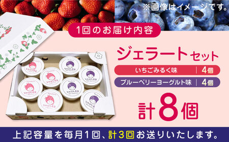 【限定数量】【全3回定期便】熊本県産 いちご ブルーベリー ジェラートセット 計8個 ( 2種 × 各4個 ) アイス カップ 熊本 山都町 冷凍【なかはた農園】[YBI034]