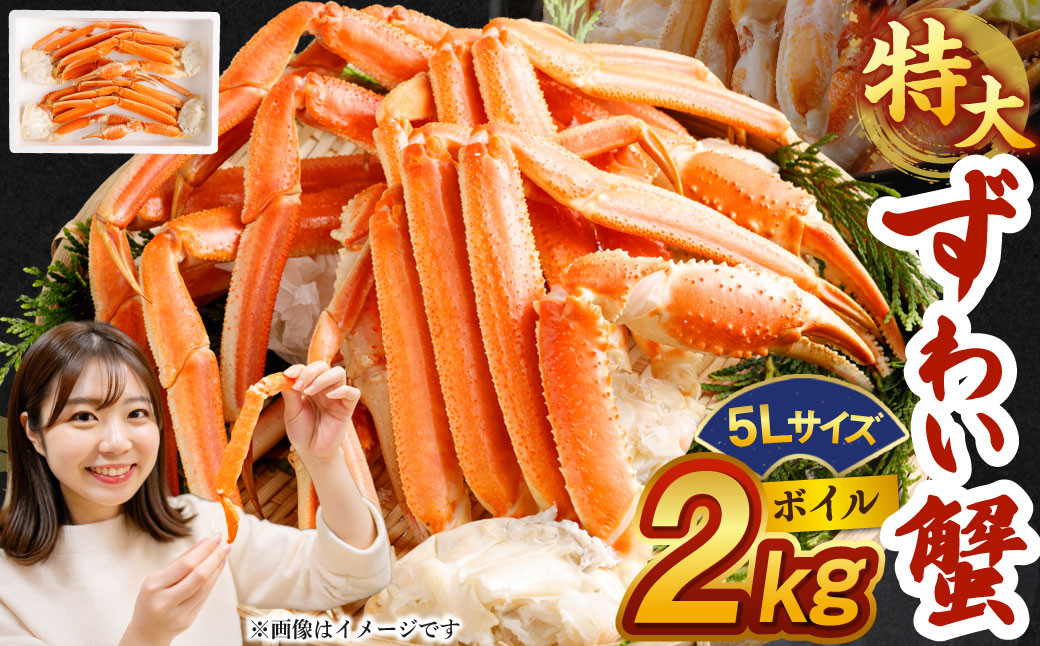 
            ボイル ズワイ蟹 特大サイズ 5L 2kg  ｜ 海鮮 カニ かに 蟹 ズワイガニ 5Lサイズ 特大 ボイル 冷凍
          