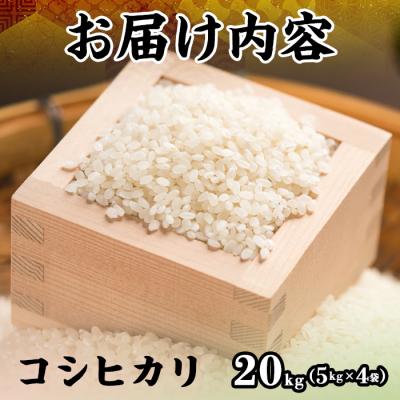 ふるさと納税 境港市 令和7年産新米鳥取県産コシヒカリ(20kg) |  | 01