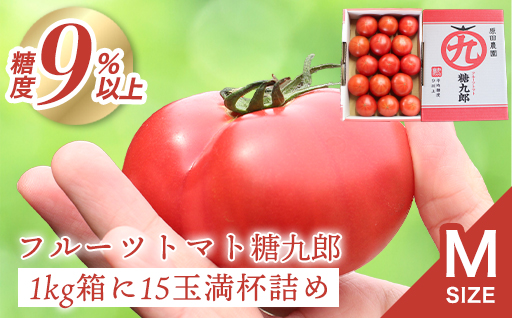 【a013】フルーツトマト糖九郎（Mサイズ）1kg箱15玉満杯詰め　2026年3月〜5月発送分