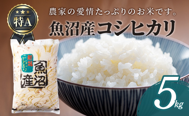 
                  魚沼産コシヒカリ5kg
                