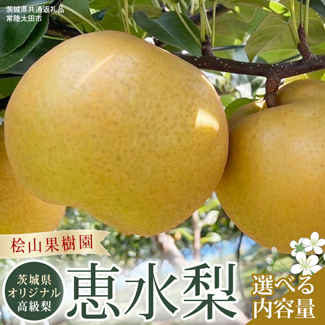 【ふるさと納税】《2025年9月上旬発送開始》 茨城県 オリジナル 幻の 高級梨 『 恵水 』 【茨城県共通返礼品／常陸太田市】 約3kg 約5kg 桧山果樹園 農家直送 桧山果樹園 農家直送 フルーツ 甘い 直送 茨城 限定 ギフト 梨 恵水 けいすい 果物