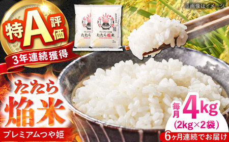 米 【全6回定期便】たたら焔米 雲南市プレミアムつや姫 4kg(2kg×2袋) [AIBR003] 米