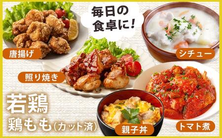 宮崎県産豚肉切り落とし&鶏もも肉(カット済)【総重量4.5kg】_16-M602_(都城市) 宮崎県産豚肉 切り落とし 宮崎県産若鶏 もも切身 真空パック 小分け 若鶏 唐揚げ チキン南蛮 てりやきチ