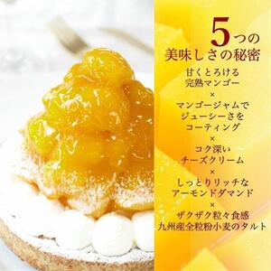【お中元】【とろっと甘いマンゴーがどっさり】完熟マンゴーチーズタルト【1ホール（14cm）】/ 心優-CotoyuSweets