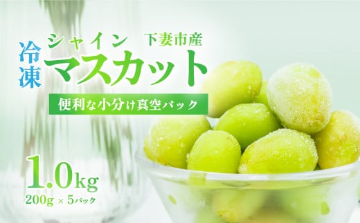 【 訳あり 】 冷凍シャインマスカット 約1kg （ 約200g × 5パック ）【 TV等で話題の凍眠 （ 急速冷凍） 】【 わけあり フルーツ 果物 ぶどう ブドウ 葡萄 茨城県産 国産 農園 人気 スイーツ お取り寄せ 10000円 1万円 】[SZR]