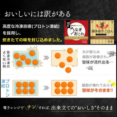 ふるさと納税 唐津市 霧島湧水うなぎおこわと博多和牛ごはん 6個セット(各3個) |  | 02