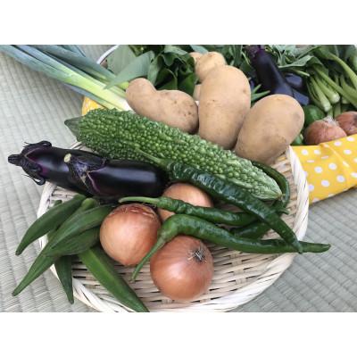 ふるさと納税 行方市 【発送月固定定期便】【ハーフサイズ】栽培期間中農薬不使用『身体が喜ぶ野菜』詰め合わせ全10回 |  | 01
