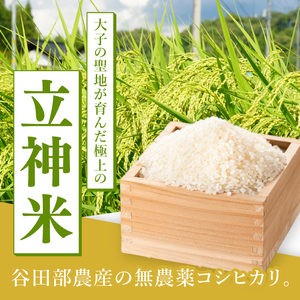 【無農薬米日本一コンテスト2年連続金賞】【谷田部農産】立神米 無農薬 こしひかり（白米）10kg｜茨城県 大子町 コシヒカリ 米 無農薬 コンテスト 受賞 生産者 大子産米 産地直送 令和7年産（BT