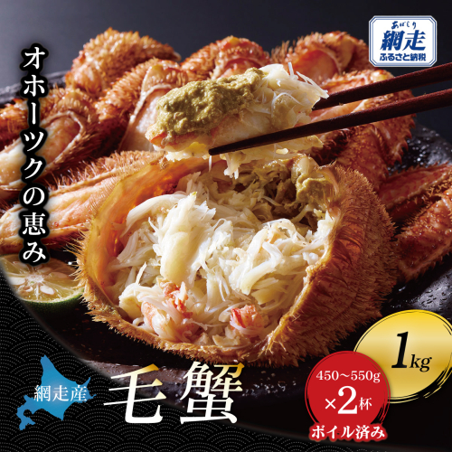 【網走産】オホーツクの恵み 毛蟹 約1kg（450〜550g × 2杯）｜ボイル済み 冷凍 毛ガニ 北海道 ABBI015