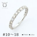 【ふるさと納税】PT900　ダイヤモンド　プラチナ　リング　1.0ct　17777A Pt DIA R【サイズ：10号～18号】 レディース ファッション ギフト プレゼント 誕生日 記念日 お祝い おしゃれ 大人 アクセサリー ジュエリー