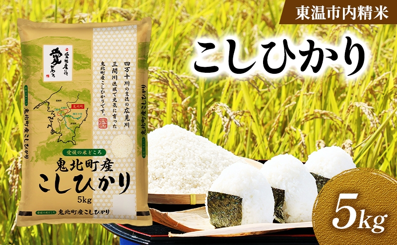 
                  こしひかり 約5kg 東温市内精米 （鬼北町産生産者混合）数量限定 美味しい つや 高級  お米 5キロ 米 精米 白米 ブランド米 ご飯 ごはん 愛媛県 東温市[№5303-0287]
                