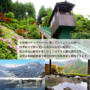 新祖谷温泉ホテルかずら橋 宿泊券 15,000円分 徳島 旅行 温泉 ホテル【 旅行 】