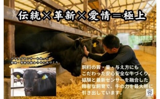 伊万里牛切落とし 900g 【川原畜産】 208-J1681