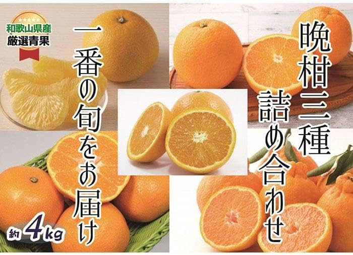 
            おすすめフレッシュ柑橘３種詰合せ(約4kg) 【2026年2月中旬～2026年3月中旬発送】
          
