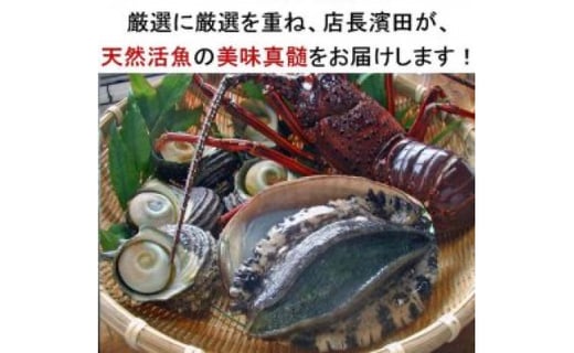 老舗鮮魚店の厳選！豪華天然魚介3種セット！（イセエビ約300ｇ・アワビ約200g・サザエ約1kg）　愛媛県大洲市/天然活魚　濱　屋 [AGBP005]伊勢海老 あわび bbq 鮑 鉄板焼き 海鮮 伊勢エビ グルメ 天ぷら ぷりぷり 新鮮 魚介類 てんぷら お刺身 コリコリ食感 産地直送 料理