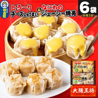 ふるさと納税 板倉町 大阪王将焼売堪能セット6個入り2種6袋セット(なにわ・チーズ各3袋)|13_nnb-120601