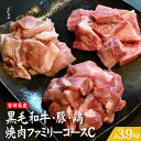 【ふるさと納税】宮崎県産 牛・豚・鶏 焼肉ファミリーコースC 計3.9kg（牛肉 豚肉 鶏肉 和牛 ロース モモ ウデ 焼肉 小分け 人気）