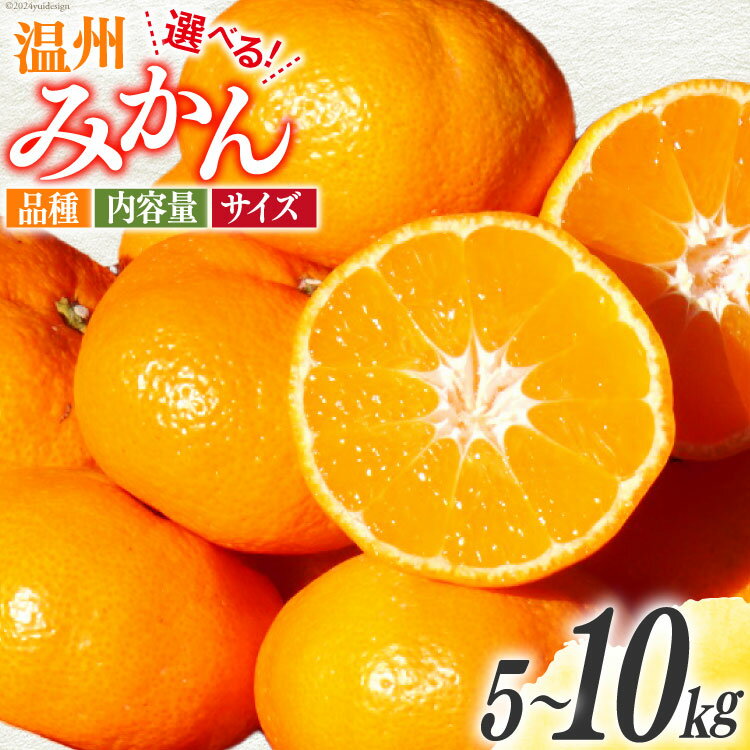 【ふるさと納税】【期間限定発送】 みかん 温州みかん 選べる 品種 内容量 5kg or 10kg 青島晩生 田口早生 [黒田農園 宮崎県 日向市 452061145] 果物 フルーツ ミカン 蜜柑 柑橘 贈答用