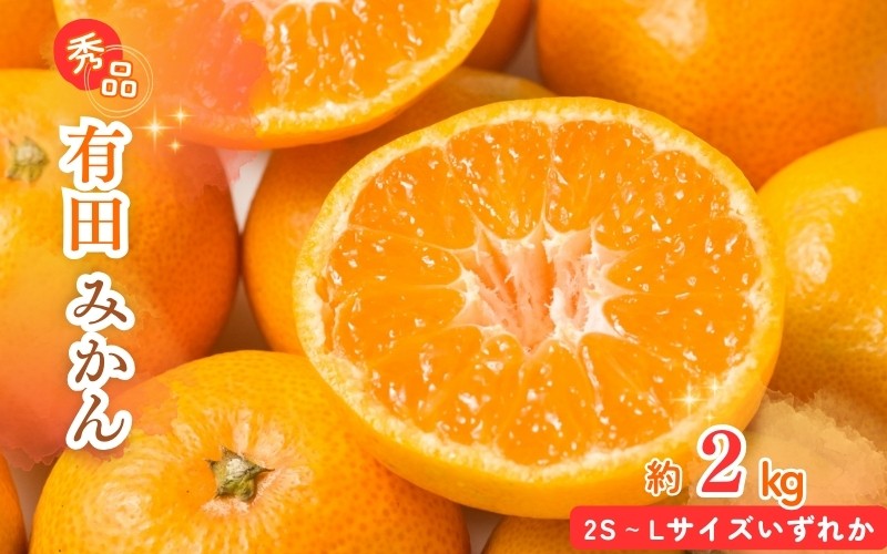 
                  【先行予約】秀品 有田みかん 2kg 2S～Lサイズのいずれか ※2026年11月下旬～2027年1月下旬頃に順次発送予定 / みかん ミカン 蜜柑 温州みかん 柑橘 フルーツ 果物 くだもの 和歌山【uot835A】 
                