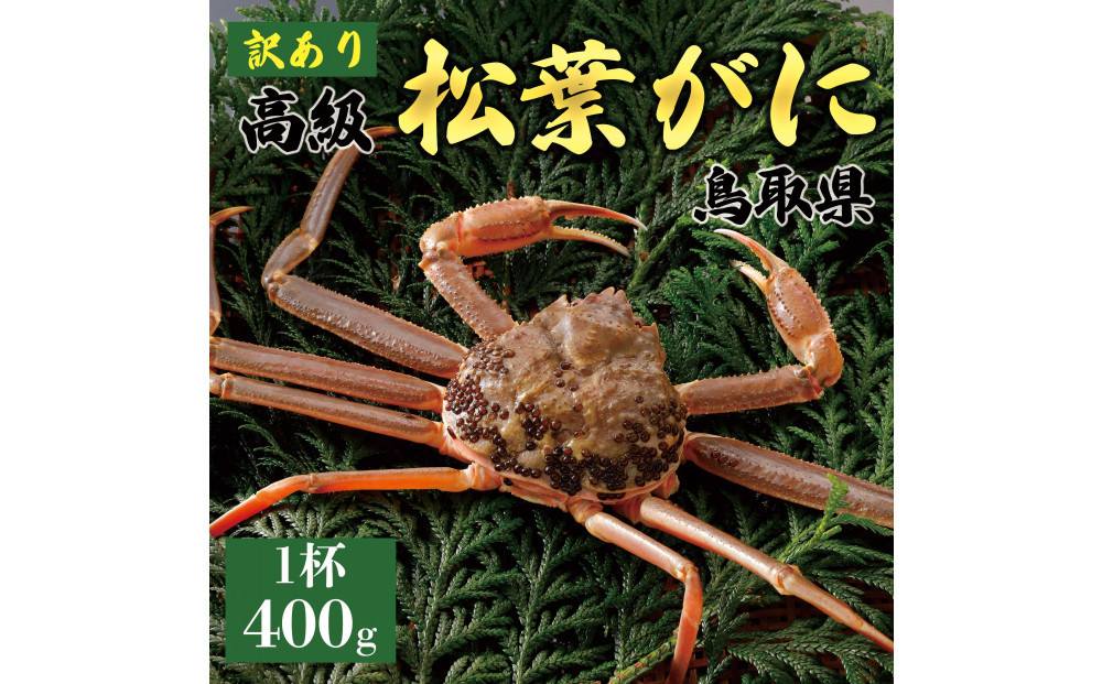 1059.【2025年11月発送】特撰 松葉がに（なま）【訳あり】400g超のサイズ 食べ応えあり 1杯 313726_BS037