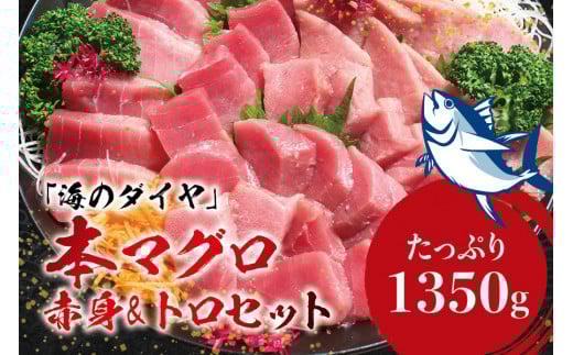 本マグロ（養殖）トロ＆赤身セット 1350g 【12月発送】【配達日指定不可】高級 クロマグロ  中トロ 中とろ まぐろ マグロ 鮪 刺身 赤身 柵 じゃばらまぐろ 本マグロ 本鮪【nks111B-1
