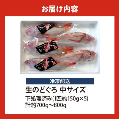 ふるさと納税 香美町 調理済み 香住産のどぐろ中5尾(生・冷凍)【2025年9月以降順次発送】 |  | 03