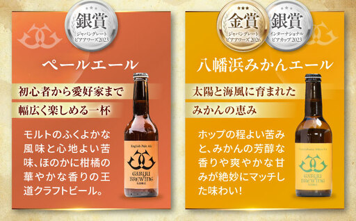 クラフトビール【全12回定期便】飲み比べ6種セット 計6本　愛媛県大洲市/株式会社　アライ[AGAY068]