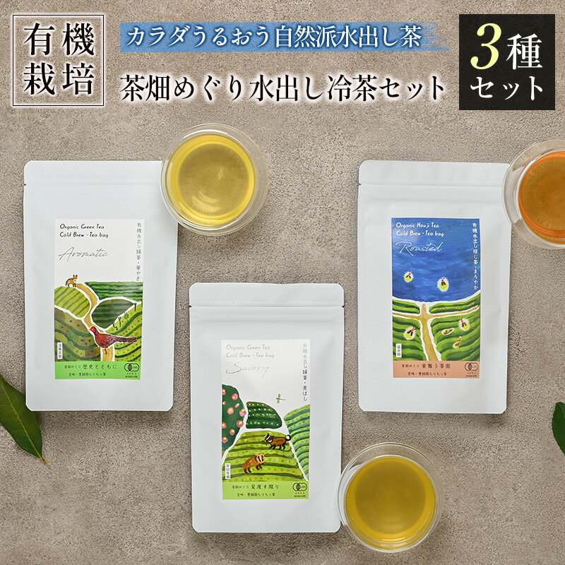 【ふるさと納税】＜有機栽培＞カラダうるおう自然派水出し茶 茶畑めぐり水出し冷茶 3種セット 国産 日本茶 飲み比べ