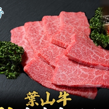 葉山牛 特上赤身 焼肉用 500g 冨士屋牛肉店 葉山牛 和牛 にく 肉焼くだけ 焼き肉用  冷凍 お中元 ギフト 箱入り 贈答用  豪華 おもてなし神奈川県 【 逗子市 】