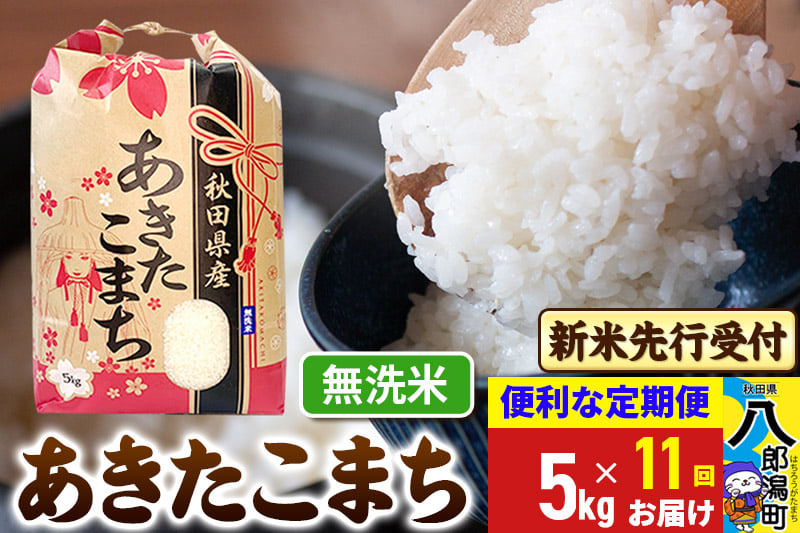 
            《令和7年産 新米受付》《定期便11ヶ月》あきたこまち 5kg【無洗米】 秋田県産 こまちライン
          