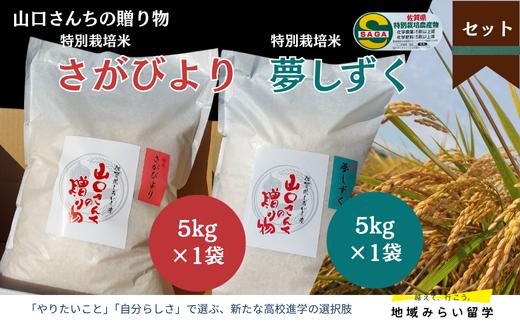 
            【セット】特別栽培米 さがびより 5kg 白米＆夢しずく 5kg 白米
          