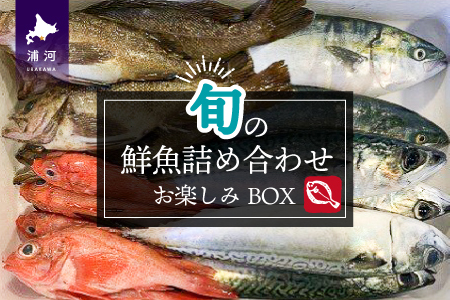 『キンキ入り』漁協厳選！鮮魚お楽しみBOX※不在日・日付指定対応不可※[02-830]