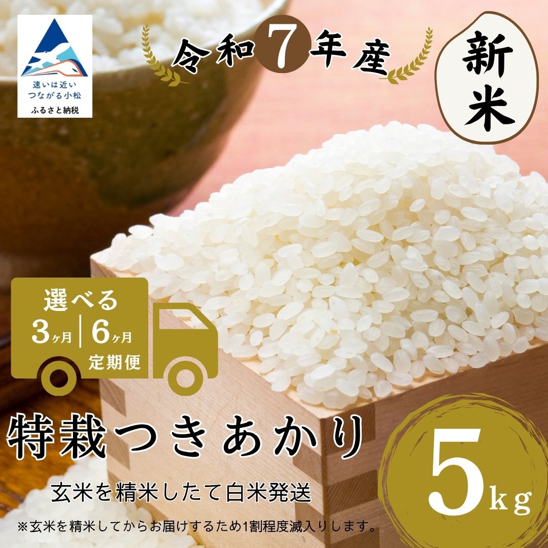 【ふるさと納税】【定期便】特栽つきあかり 玄米 5kg 選べる 3ヶ月 / 6ヶ月 精米したて白米発送 石川県 小松市 【のむら農産】048007