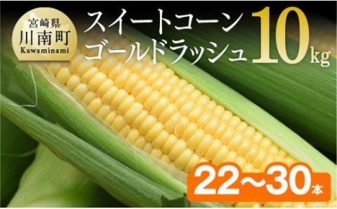 【令和7年発送】朝どれ！守部さんちのゴールドラッシュ10kg 【とうもろこし スイートコーン 野菜 】[D06412]