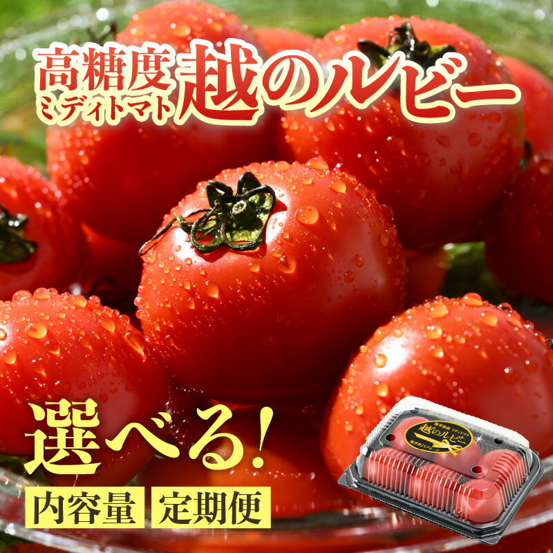 【ふるさと納税】【先行予約】高糖度 ミディトマト 越のルビー パック入 1kg / 2kg 福井県産ブランドトマト 農家直送 有機肥料 低農薬 ※2025年9月中旬～11月発送 選べる 選べるサイズ 選べる定期便