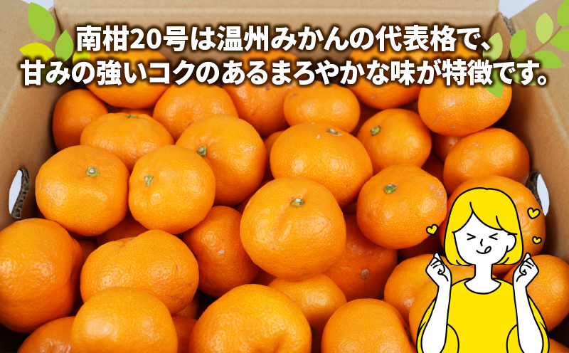 みかん 南柑20号 9kg 玉津柑橘倶楽部 みかんみかんみかんみかんみかんみかんみかんみかんみかんみかんみかんみかんみかんみかんみかんみかんみかんみかんみかんみかんみかんみかんみかんみかんみかんみかん