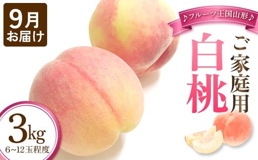 【先行予約 2026年度発送】♪フルーツ王国山形♪ ご家庭用 白桃 9月お届け もも モモ 桃 デザート フルーツ 果物 くだもの 果実 食品 山形県 FSY-2553