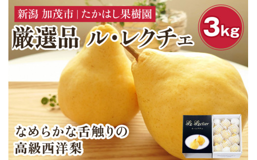 【2026年先行予約】 たかはし果樹園 謹製 新潟特産 幻の洋梨ル・レクチェ 厳選品 約3kg 《11月下旬～順次配送》 果物 フルーツギフト 冬の味覚 産地直送加茂市 たかはし果樹園