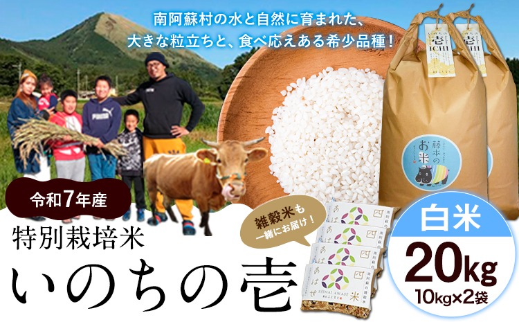 新米 令和7年産 特別栽培米 いのちの壱(白米) 20kg(10kg×2袋) 雑穀米付き《10月中旬-11月下旬頃出荷》 熊本県 南阿蘇村 熊本県産 虹色のかば 白米 雑穀米---sms_inci6_k1011_r7_67000_20kg---