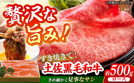 土佐黒毛和牛 ロース すき焼き用 約500g / とろけるやわらかさ 和牛 高知県産 国産和牛 牛肉 黒毛和種  【有限会社　蔵多堂】 [ATAE005]
