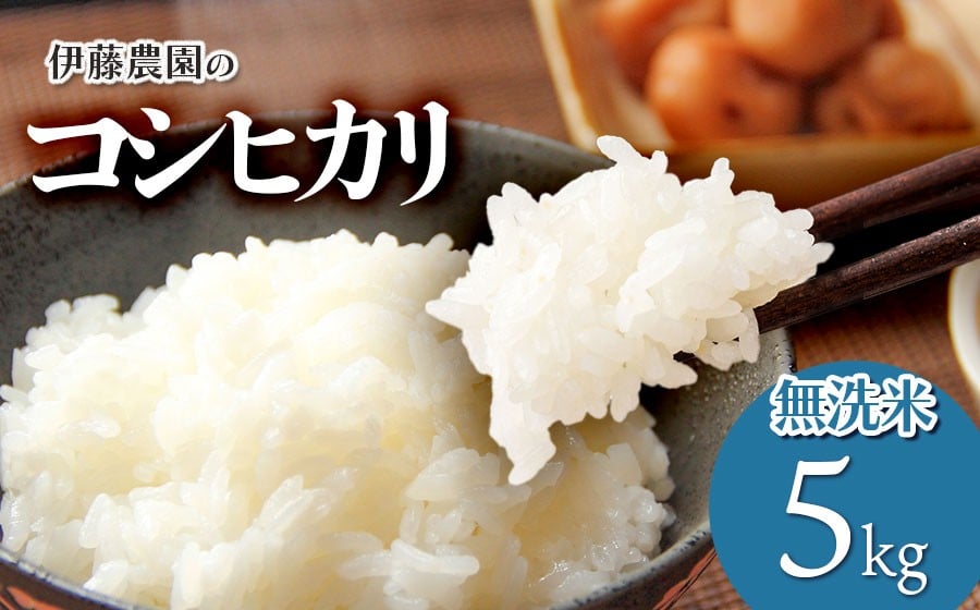 
            【令和7年産】コシヒカリ　無洗米5kg　伊藤農園
          
