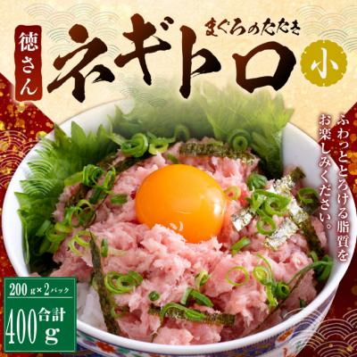 ふるさと納税 室戸市 徳さんのネギトロ&amp;厳選わら焼きカツオのタタキ【3回定期便】