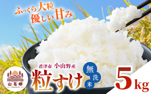 年内発送 無洗米 令和7年産 君津市小山野産 粒すけ 5kg | 新米 メディアで紹介 ！ あかかげ農園 山名郷米 メディアで紹介 ！千葉稲作 しんまい シンマイ つぶすけ 千葉県産 むせんまい 米 コメ こめ お米 千葉県 君津市 きみつ