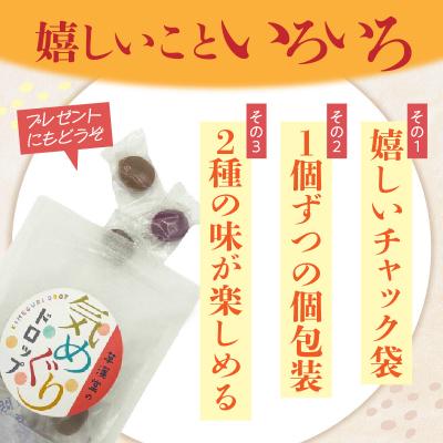 ふるさと納税 小牧市 草漢堂の気巡りドロップ　2袋　[103S16] |  | 02