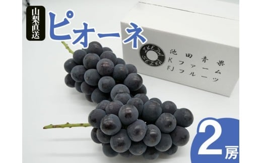厳選 ピオーネ 1.0kg以上 2房入り【2025年発送】（IS）B-478