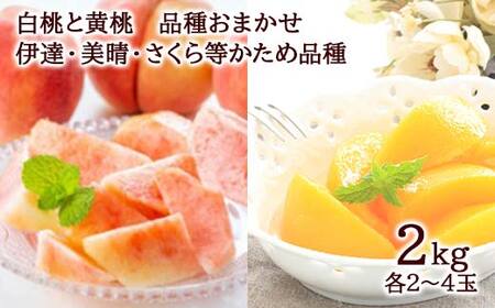 《2025年先行予約》みちのく【秋色】定期便 全4回 FSY-1883